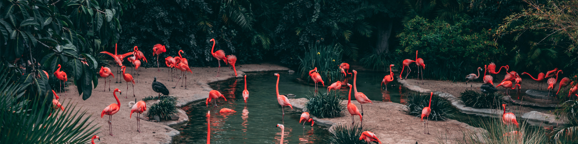 北京熊鹰国际旅行社有限公司驻马店第二网点